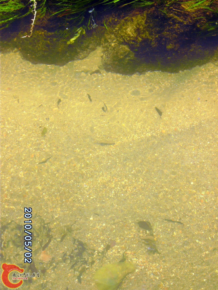 _SCK0211.jpg