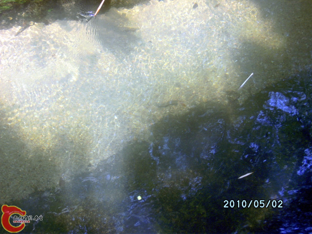 _SCK0214.jpg