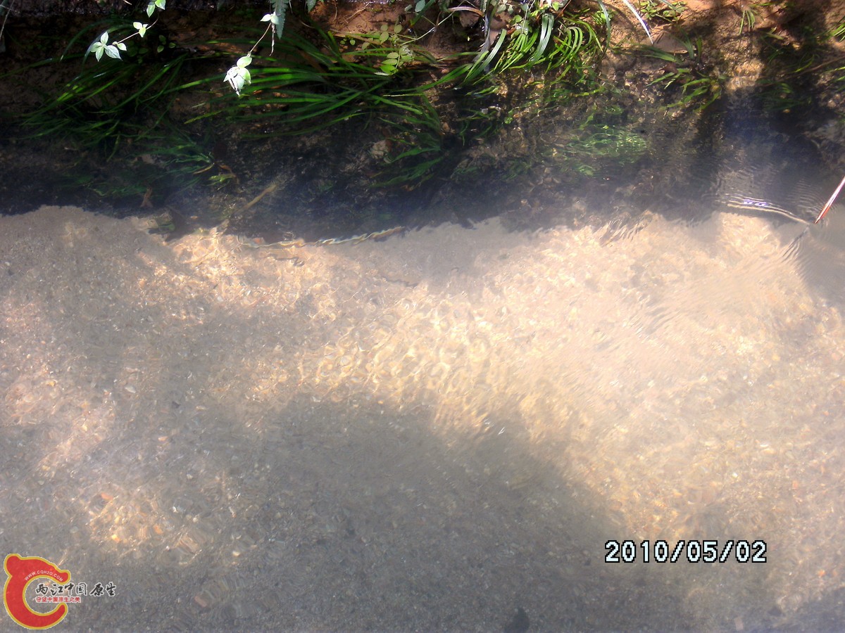 _SCK0216.jpg