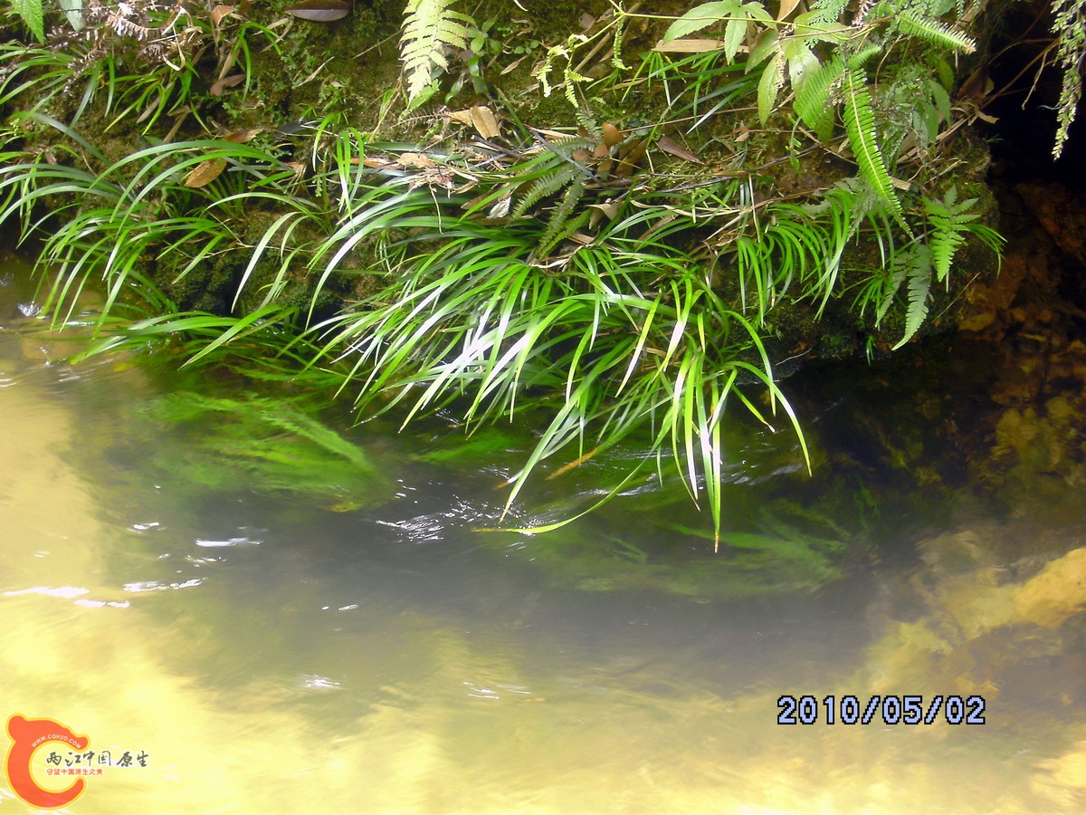 _SCK0225.jpg