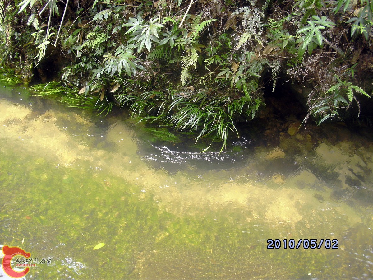 _SCK0228.jpg