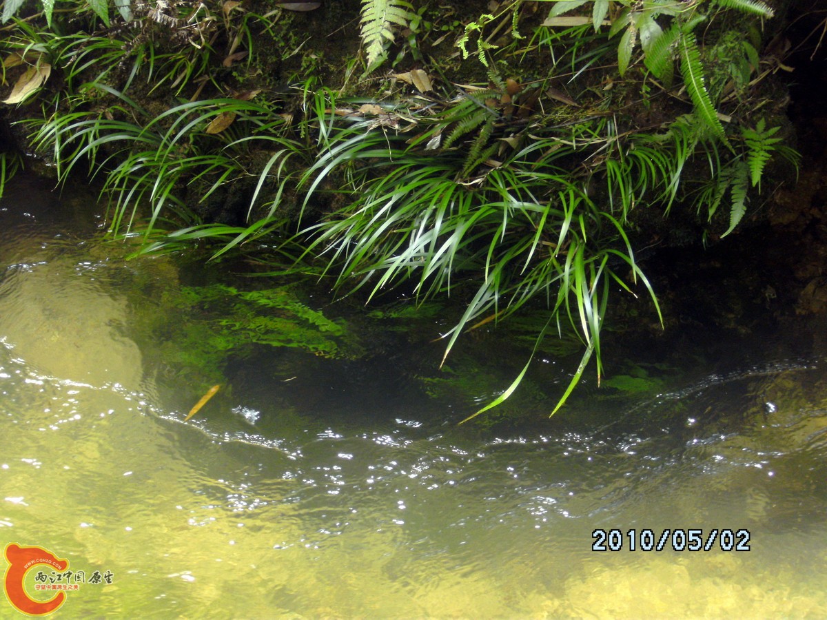 _SCK0229.jpg