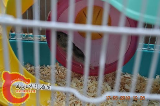 DSC_0945.JPG