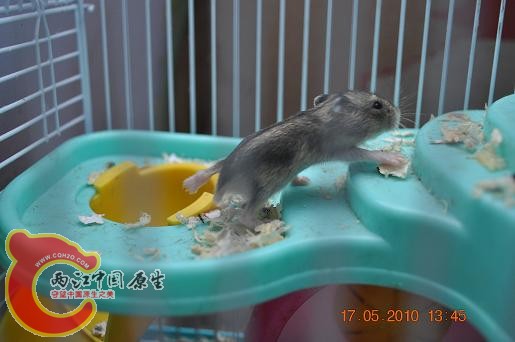 DSC_0971.JPG