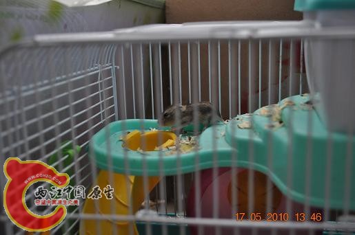 DSC_0972.JPG