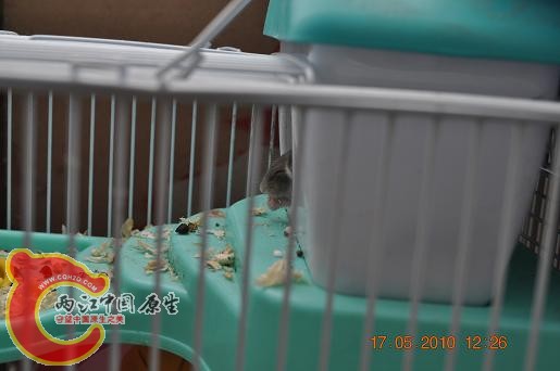 DSC_0944.JPG
