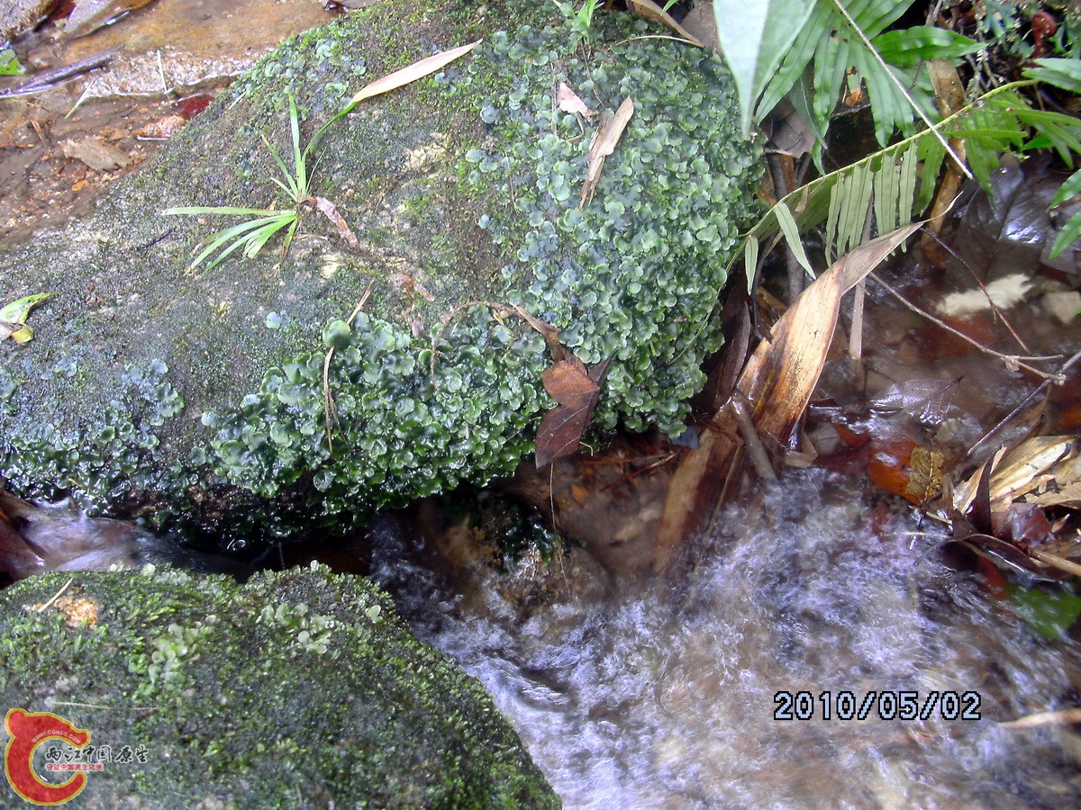 _SCK0251.jpg