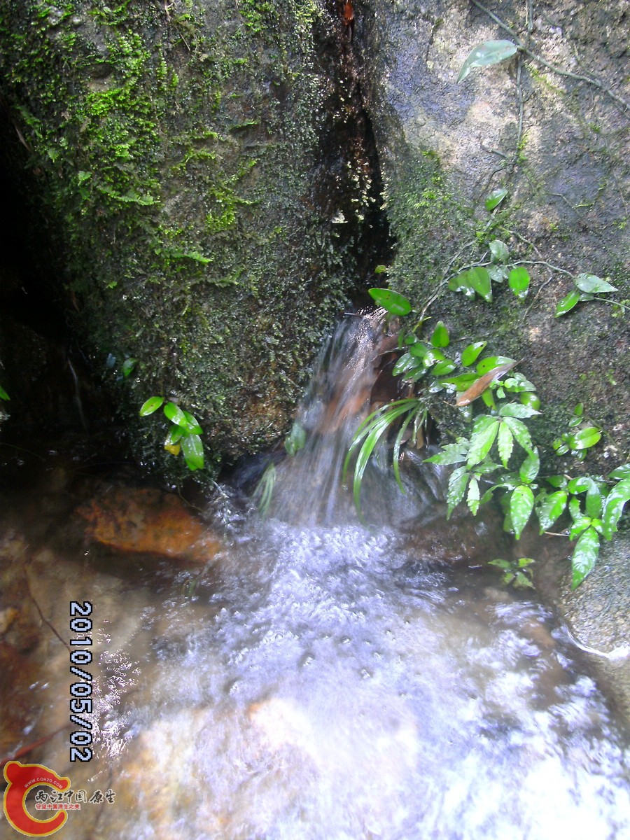 _SCK0254.jpg