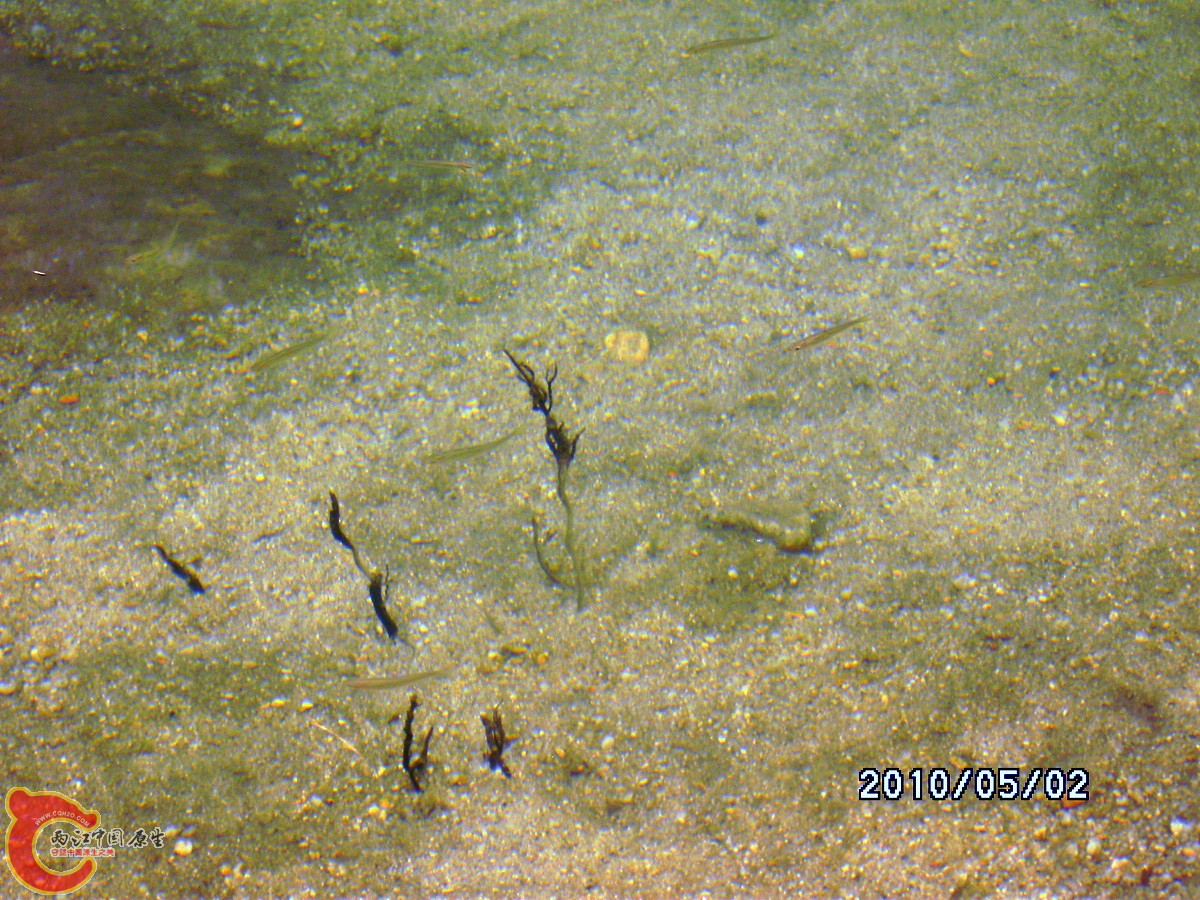 _SCK0261.jpg