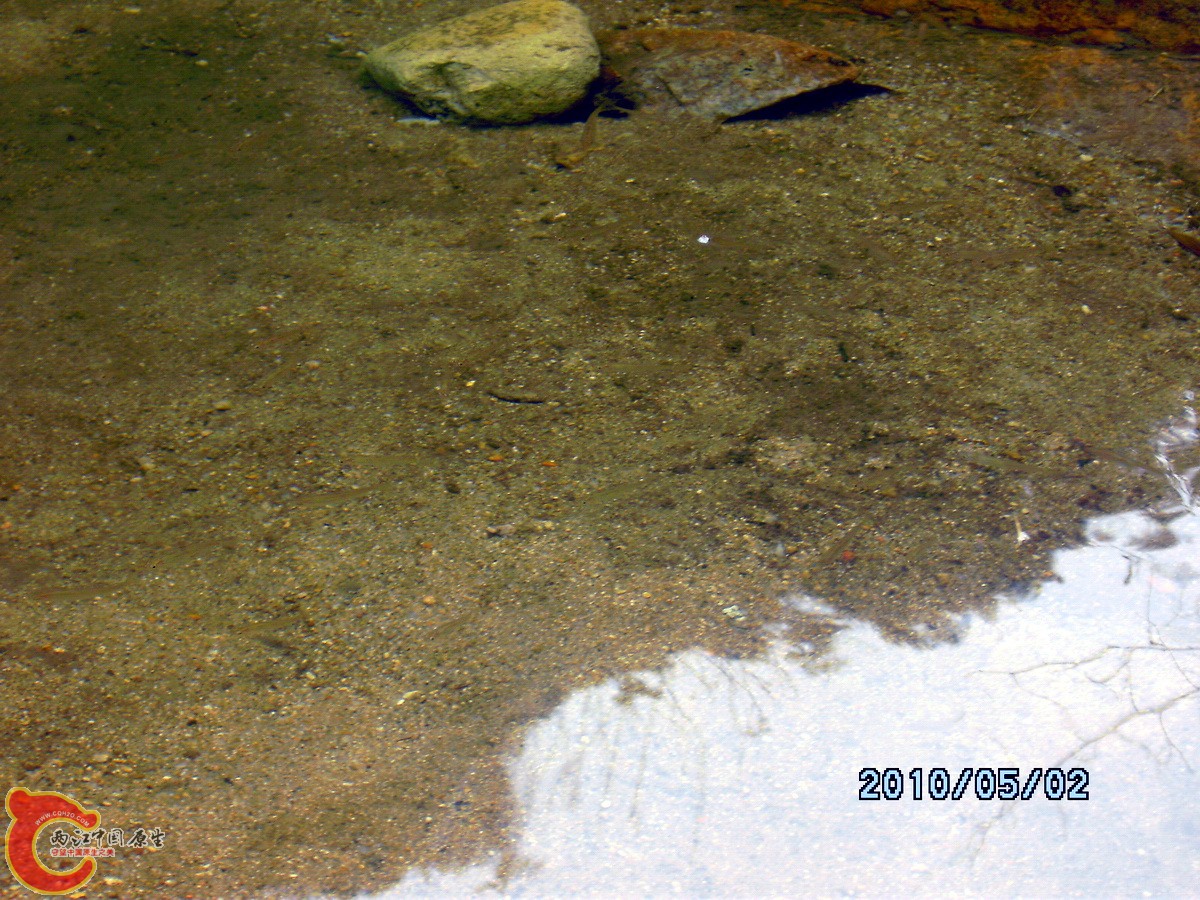 _SCK0265.jpg