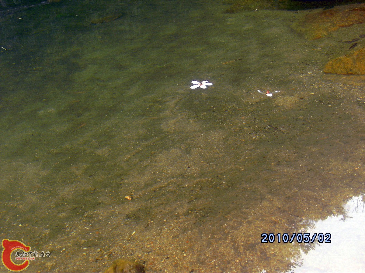 _SCK0267.jpg