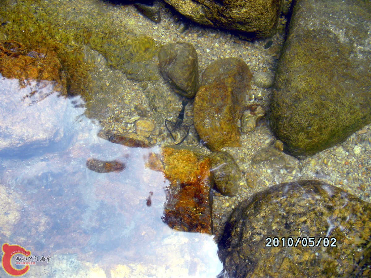 _SCK0271.jpg