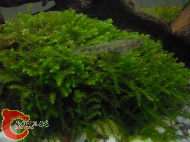 照片 011.jpg