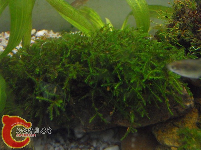 照片 012.jpg