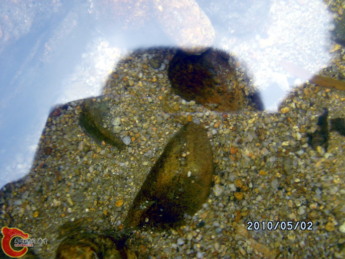 _SCK0273.jpg