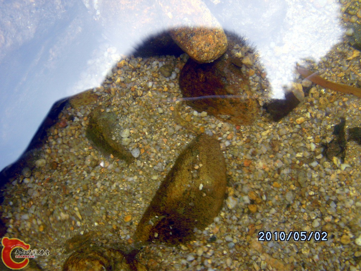 _SCK0274.jpg