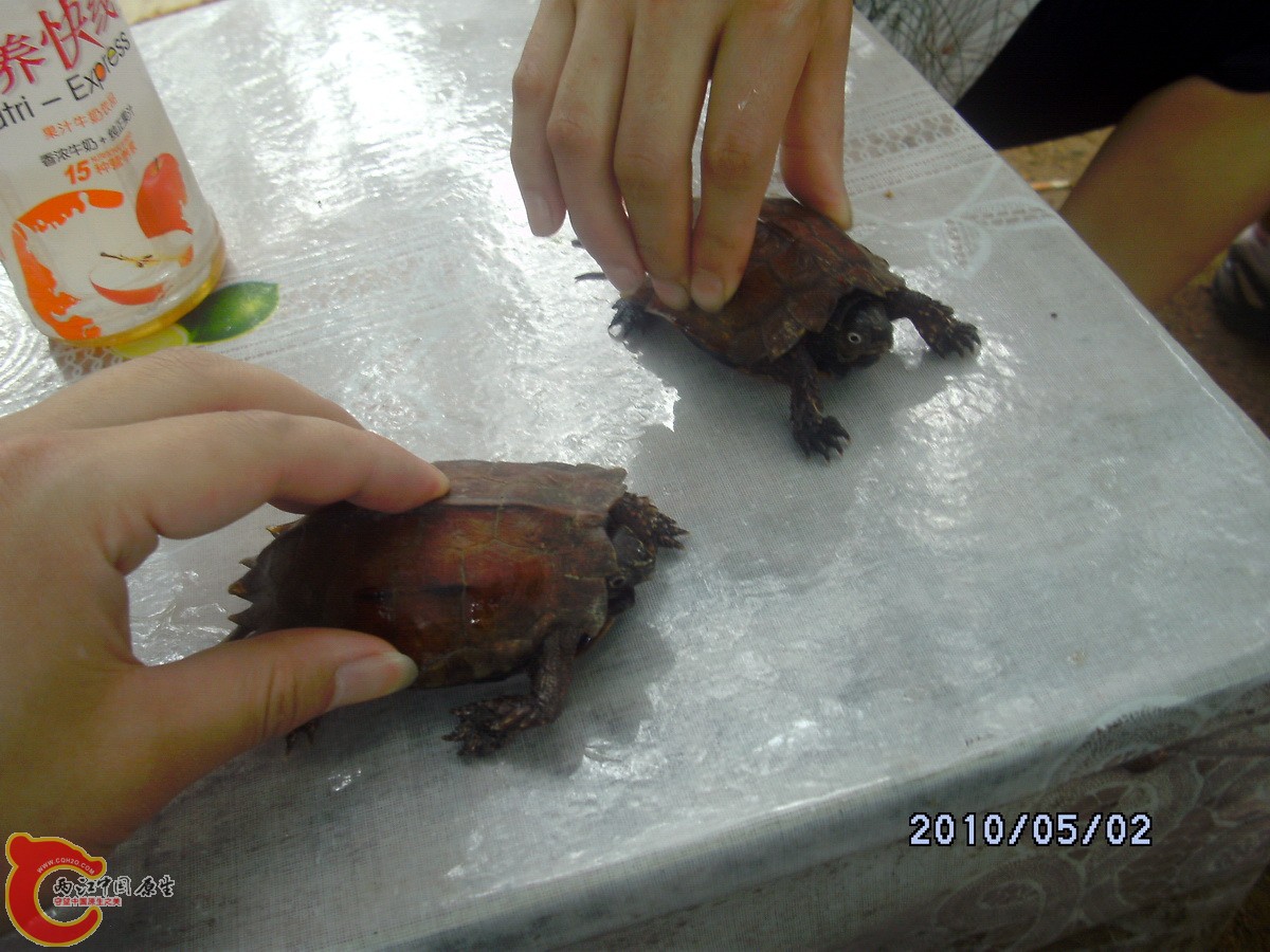 _SCK0295.jpg