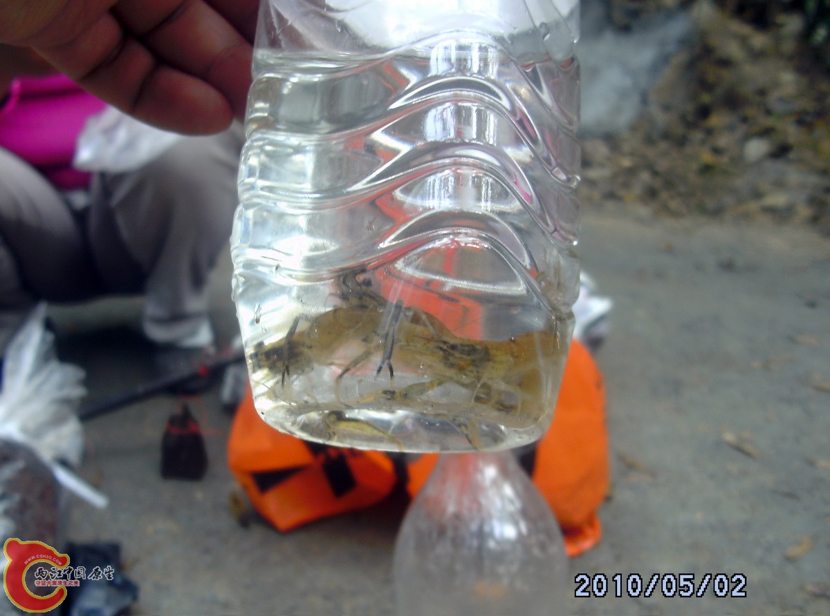 _SCK0305.jpg