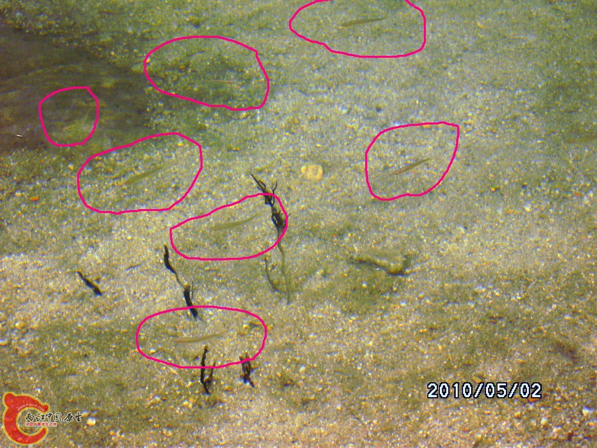 _SCK0261.jpg