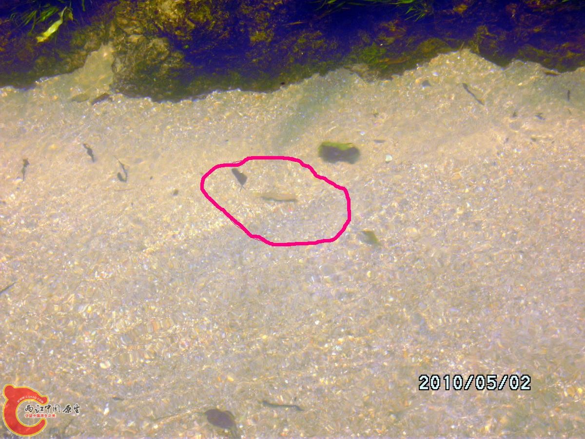 _SCK0210.jpg