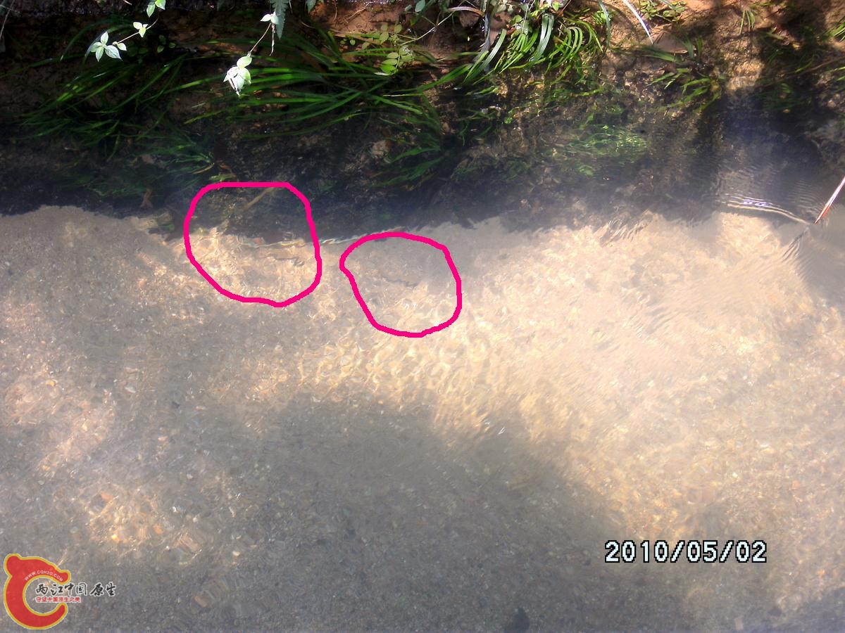 _SCK0216.jpg
