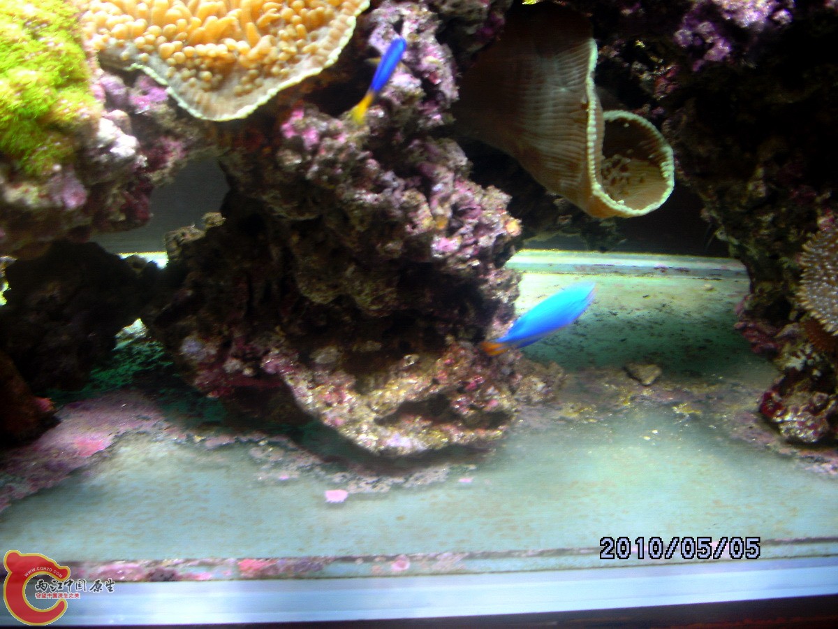 DSCK0344.jpg