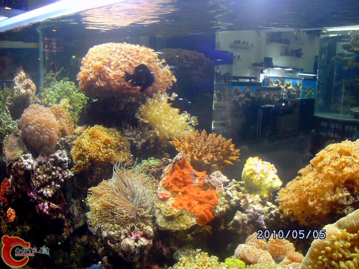 DSCK0347.jpg