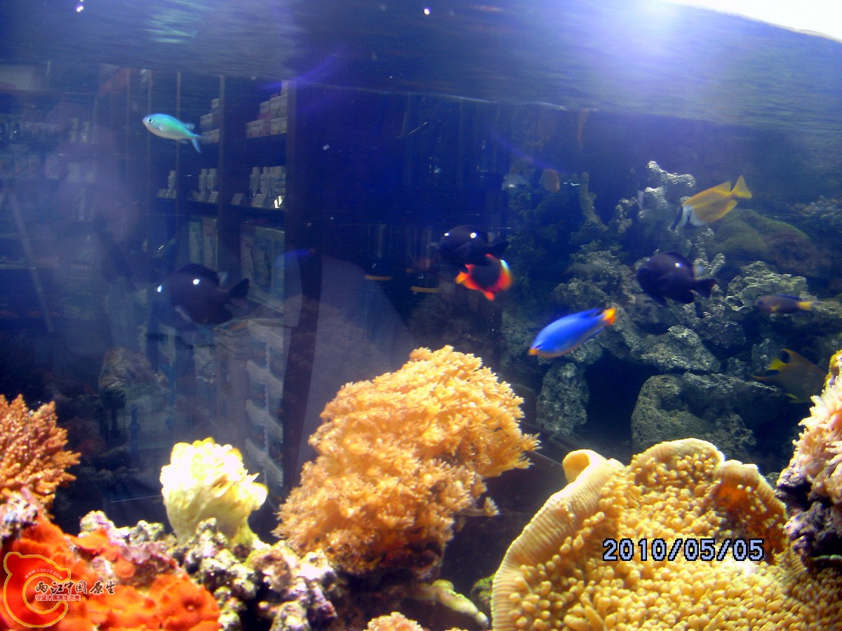 DSCK0349.jpg