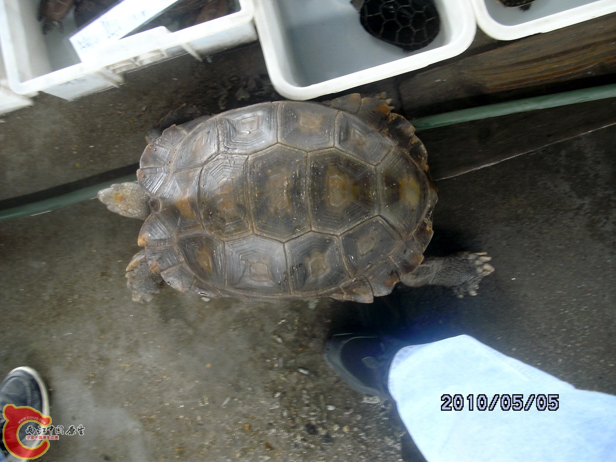 DSCK0356.jpg