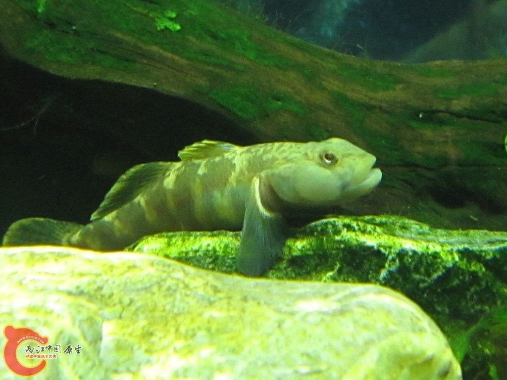 IMG_2035.JPG