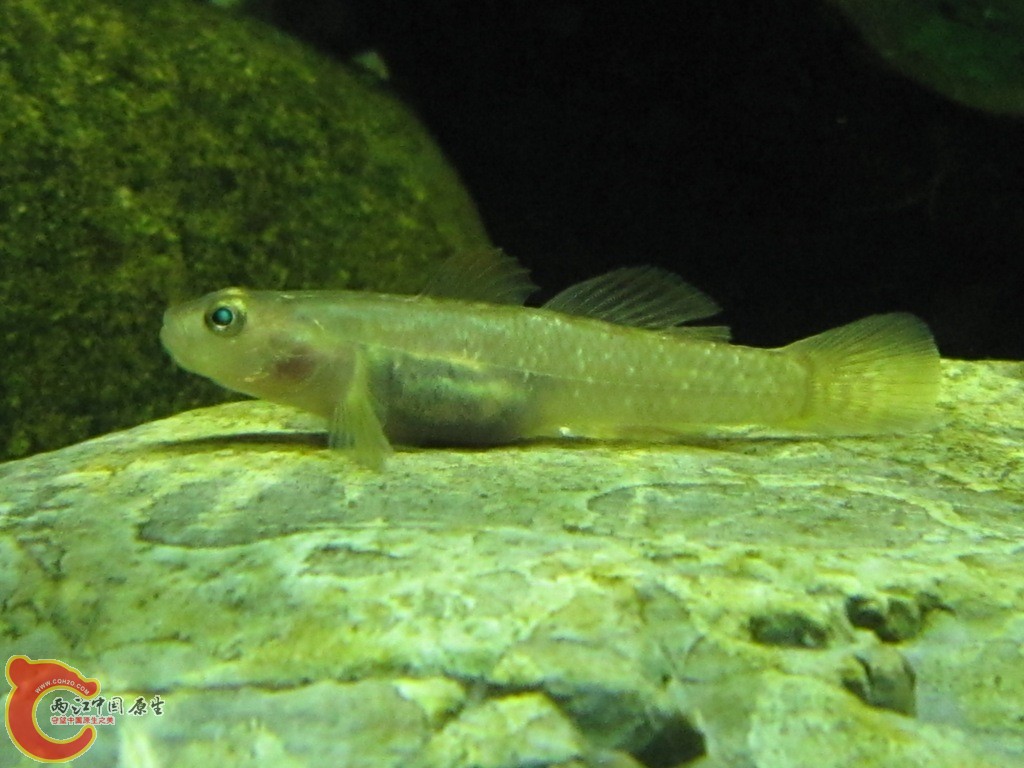 IMG_2031.JPG