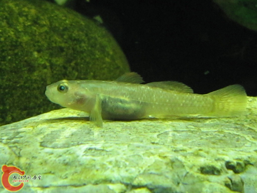 IMG_2030.JPG