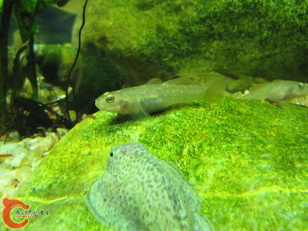 IMG_2037.JPG