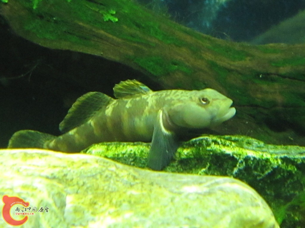 IMG_2034.JPG