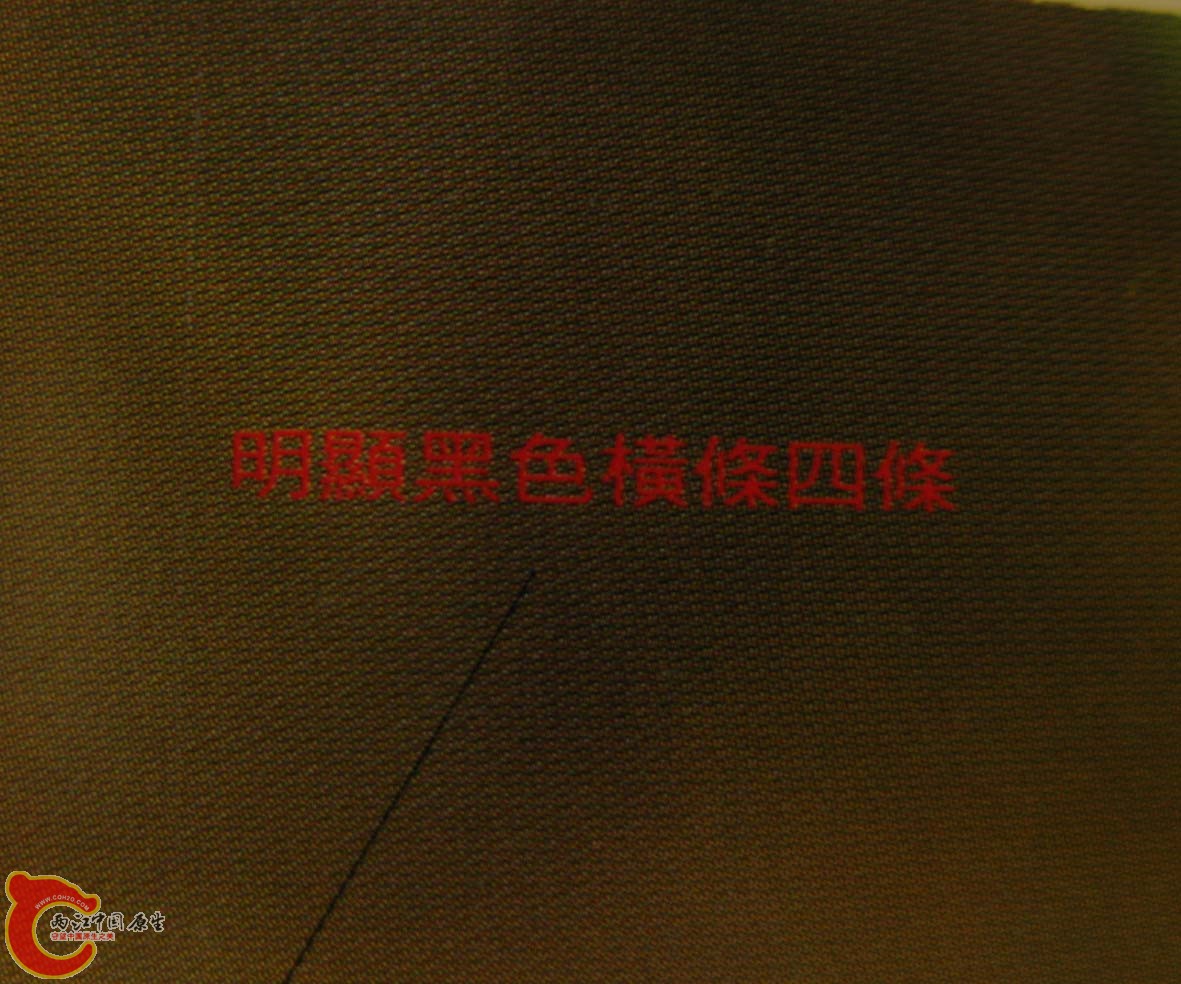 史尼氏
