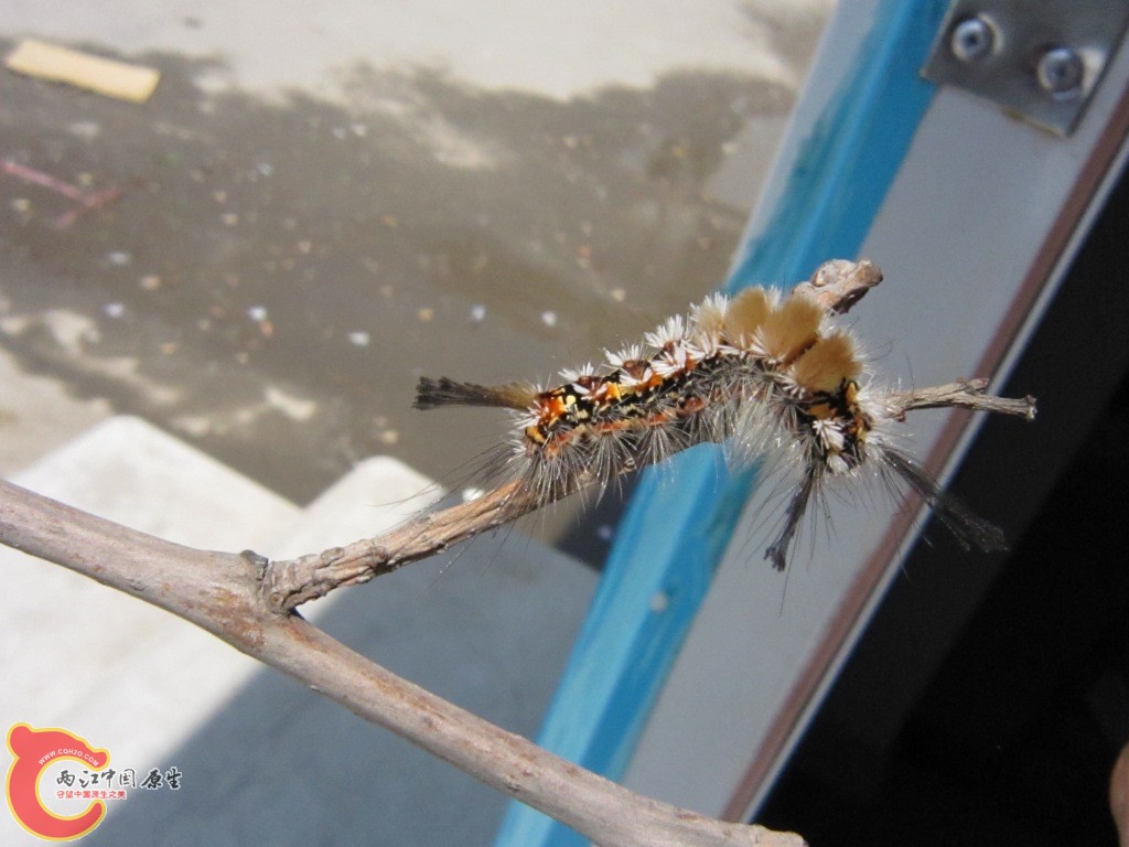 IMG_2223.JPG