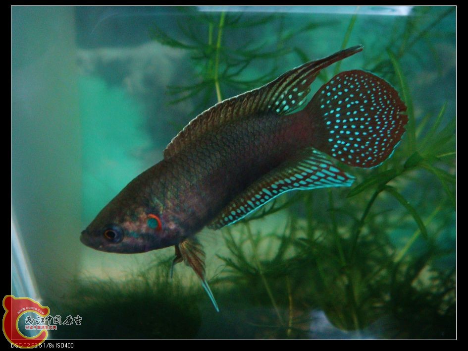 nEO_IMG_DSC07799.jpg