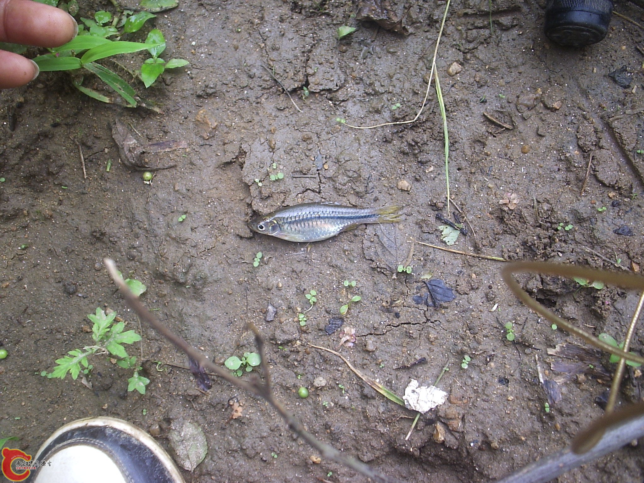 P1010059.JPG