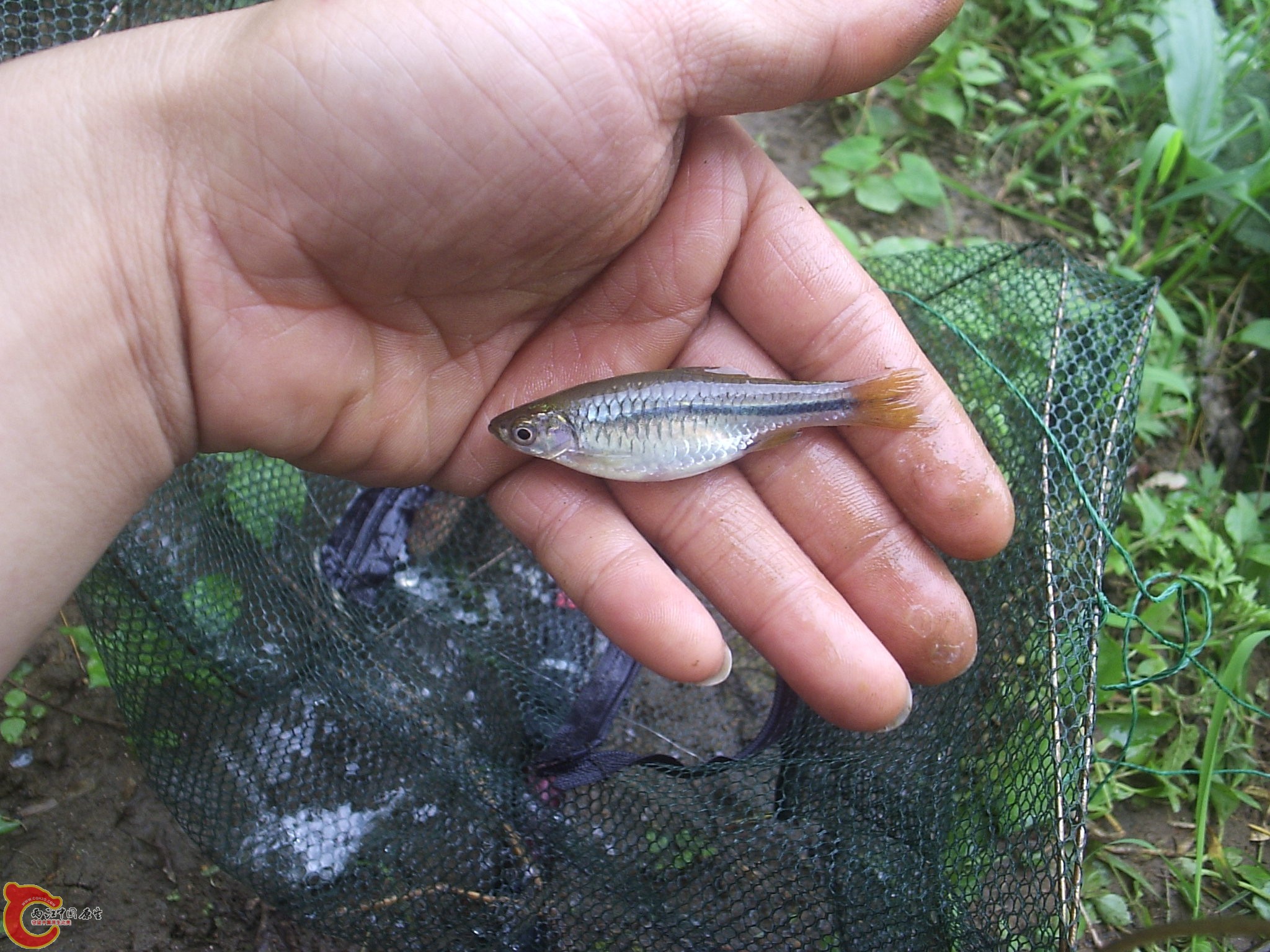 P1010057.JPG