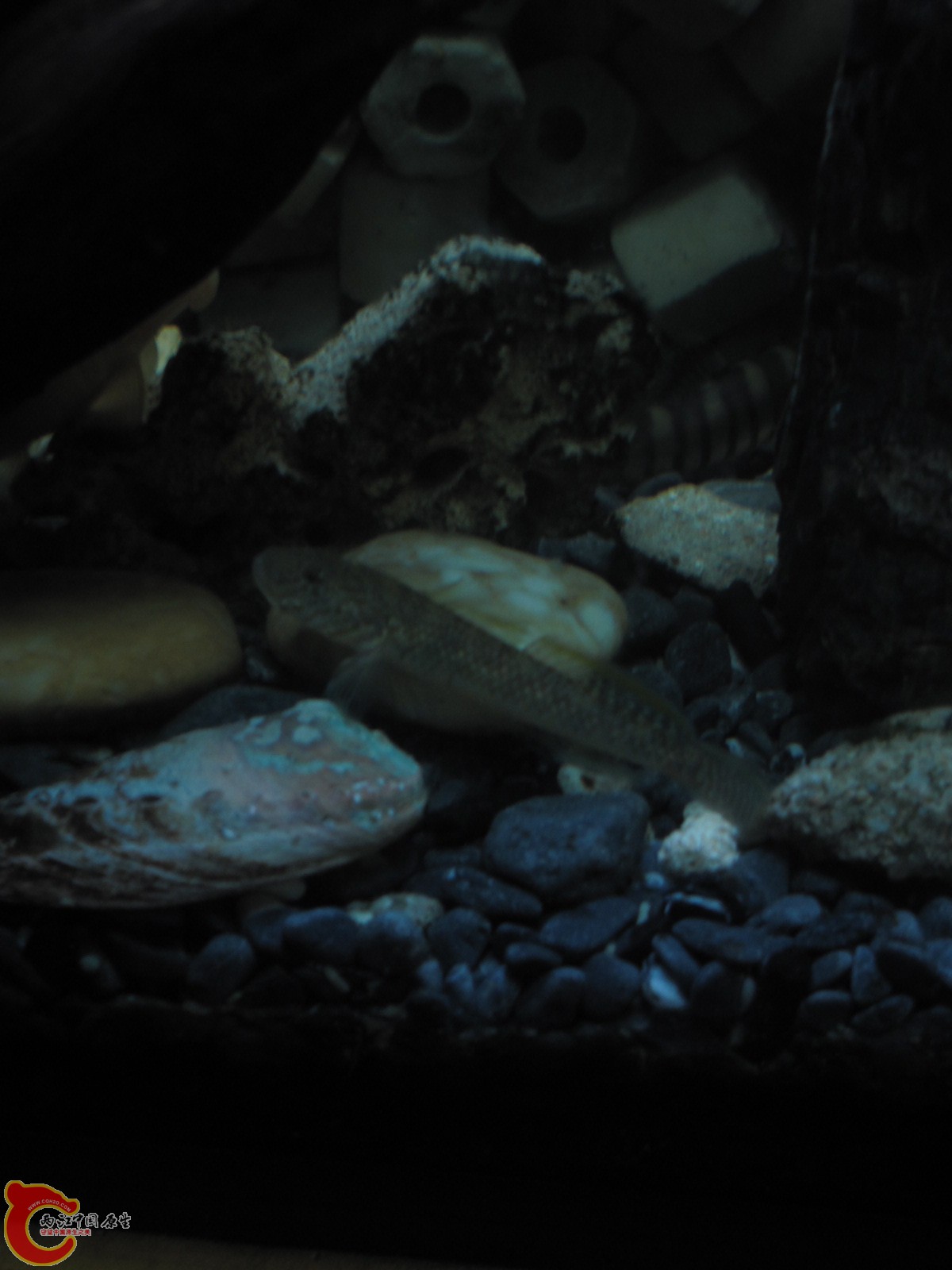 旋转 照片 094.jpg