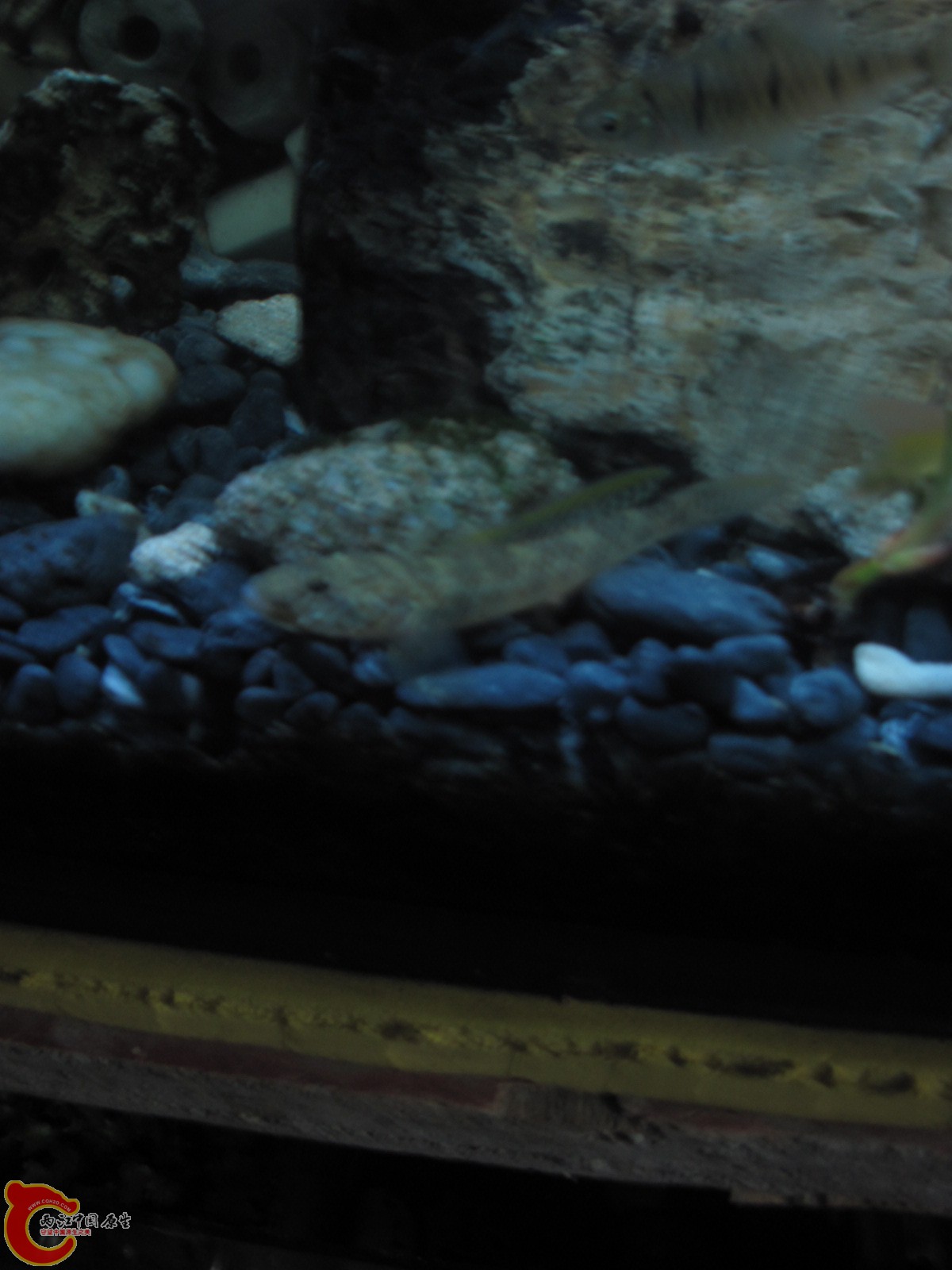 旋转 照片 090.jpg