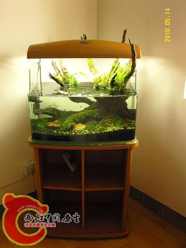 SNC10008.JPG SNC10008.JPG