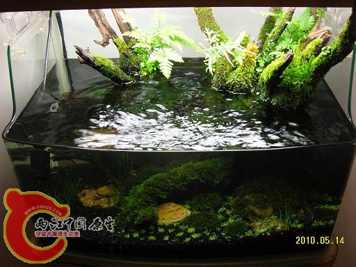 SNC10013.JPG SNC10013.JPG