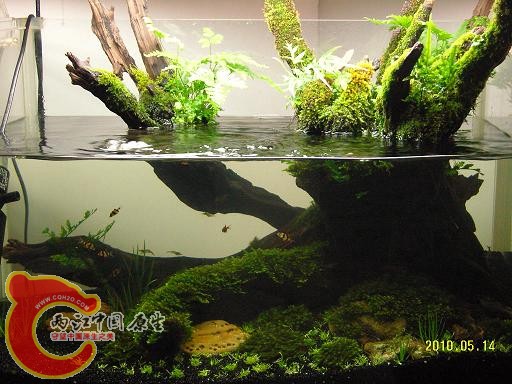 10051420558873a6f950818909.jpg 10051420558873a6f950818909.jpg