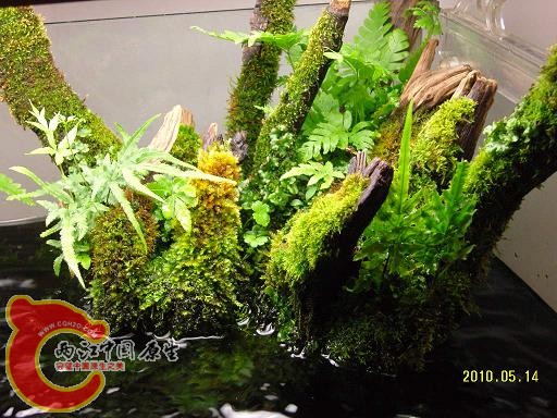 1005142055c34864b2ceb7c4bb.jpg 1005142055c34864b2ceb7c4bb.jpg