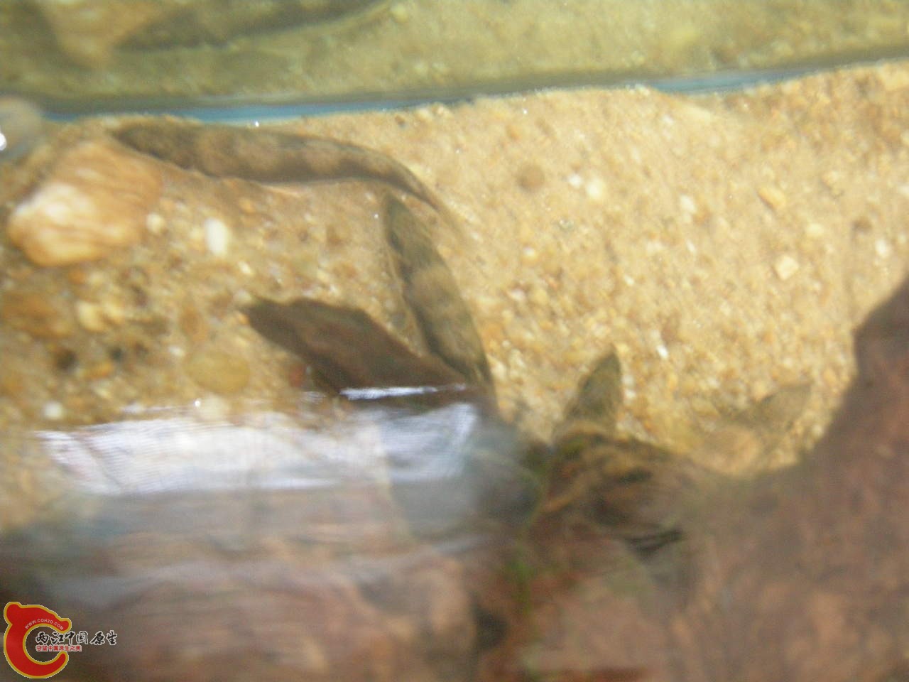 DSCN5698.JPG