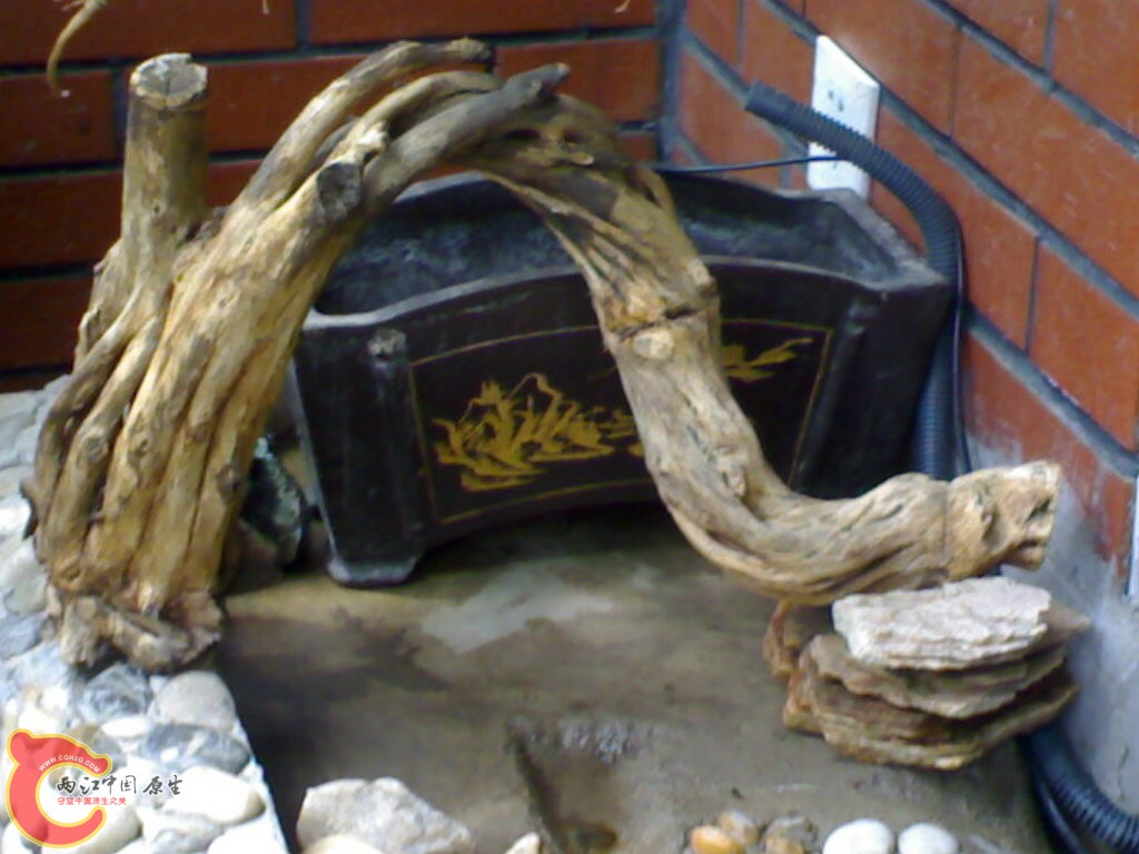 花盆当作过滤了 木头是外面捡的