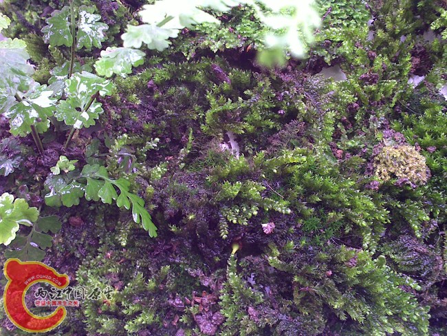 20100523966.jpg