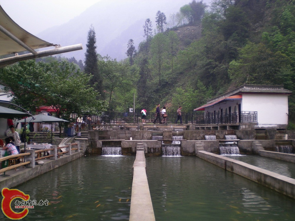 三文鱼养殖场在512的时候断水导致几千斤鱼儿全部挂了。如今新的水源接驳好了！生意又火了！