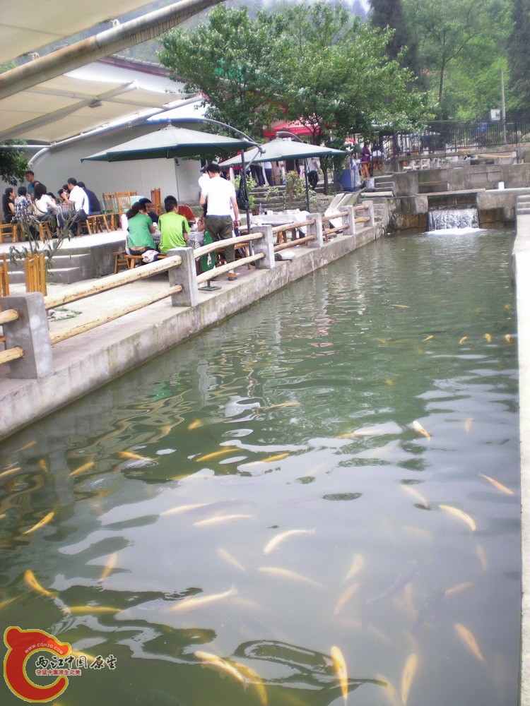 DSCN2620.jpg